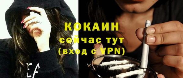 индика Дмитров