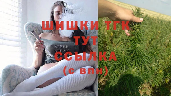индика Дмитров