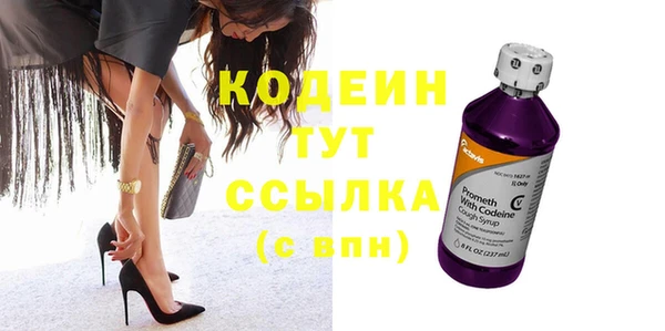 индика Дмитров