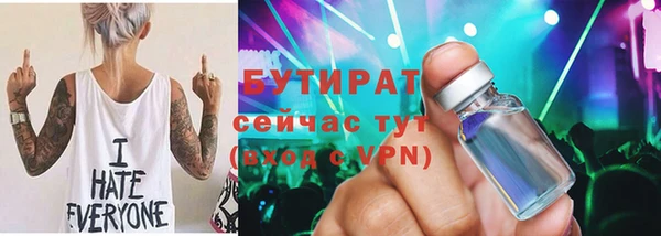 индика Дмитров
