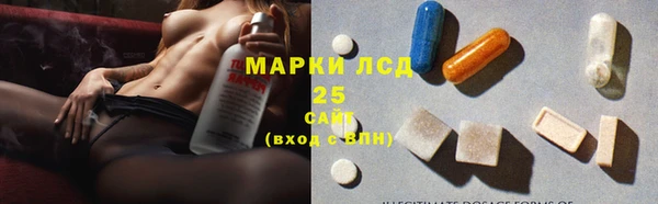 индика Дмитров