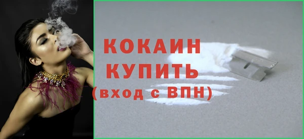 индика Дмитров