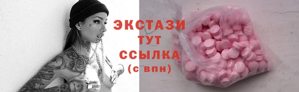индика Дмитров