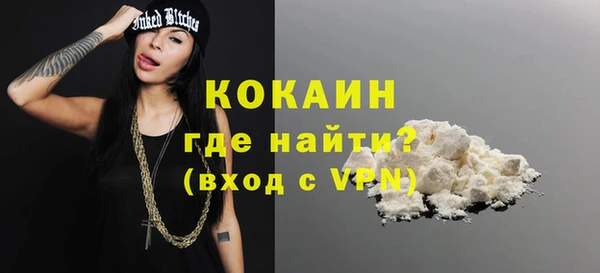 индика Дмитров