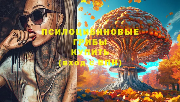 индика Дмитров