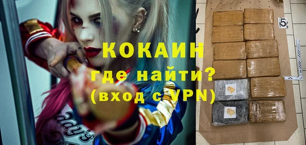 индика Дмитров