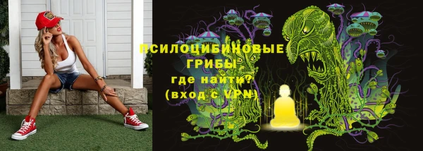 индика Дмитров
