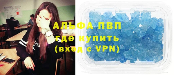 индика Дмитров