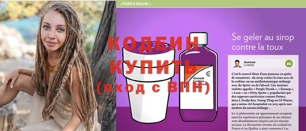 индика Дмитров