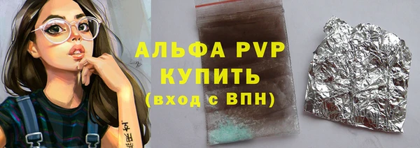 индика Дмитров