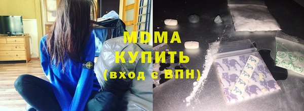 индика Дмитров